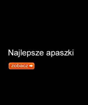 www.apaszki.com - APASZKI JEDWABNE